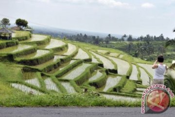 Thailand tertarik kerja sama pertanian dengan Bali