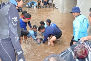 Korban jiwa akibat banjir Jakarta 19 orang