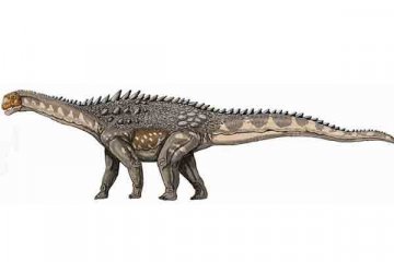 Fosil dinosaurus untuk pertama kali ditemukan di Malaysia