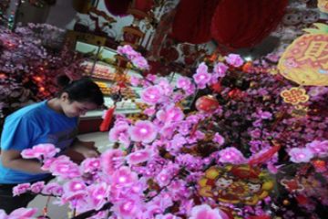 POHON MEI HWA