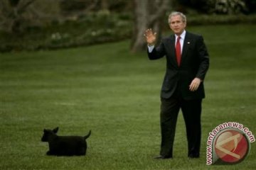 Duo George Bush ogah dukung Donald Trump