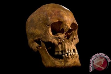 Peneliti: kerangka Raja Richard III ditemukan di lahan parkir