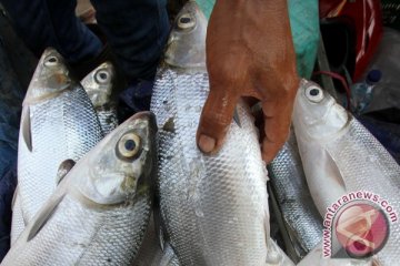 Kuliner lebaran khas Gresik