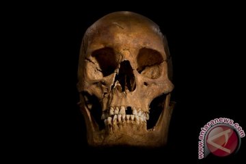 Peti misterius ditemukan di lokasi penggalian kerangka Richard III