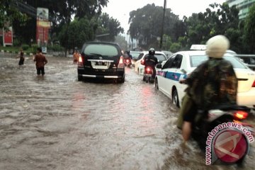 Hujan deras, pohon-pohon di Jakarta tumbang 