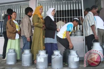 Pasokan susu nasional 2020 ditargetkan 50 persen