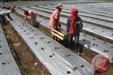 Kementan lakukan inovasi teknologi antisipasi perubahan iklim