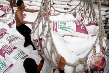 Asosiasi petani tebu minta impor gula rafinasi sesuai kebutuhan