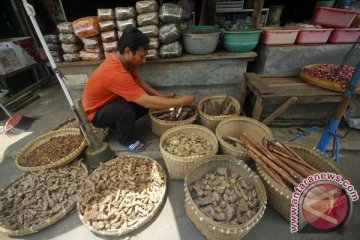 Dinkes Bantul bina industri jamu tradisional