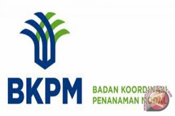 BKPM akui kegiatan investasi terdampak COVID-19