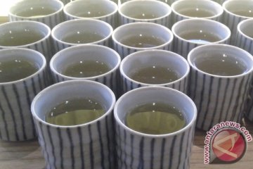 Mitra Kerinci miliki pabrik teh hijau terbesar