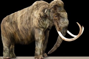 Arkeolog gali fosil mammoth yang terkubur dekat Mexico City