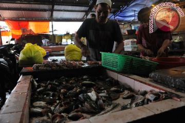 Limbah Ikan Gabus