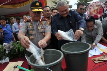 Pemusnahan Senpi Dan Narkoba