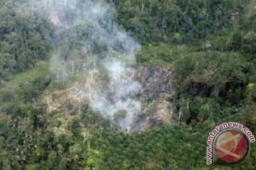 Sumbar mantapkan kawasan hutan 