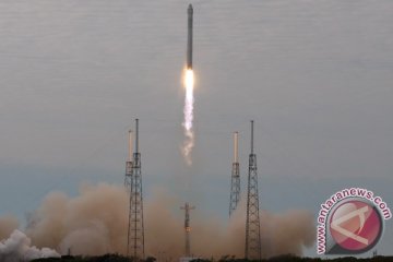 Astronot bisa berkebun di luar angkasa