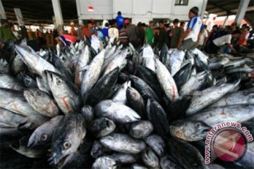 Lemak ikan enyahkan risiko terkena penyakit jantung