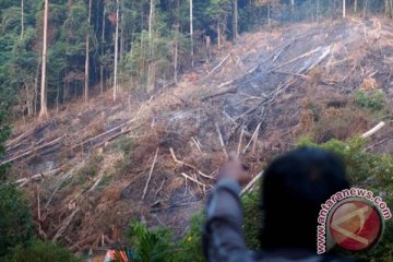 Penyidik Polres Kuantan Singingi tangkap pemodal perambah hutan