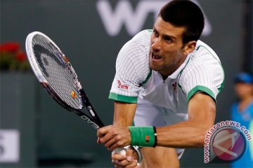 Djokovic maju ke semifinal setelah kalahkan Del Potro
