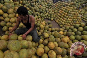 Buah-buahan Bali diharapkan terhidang di KTT Apec