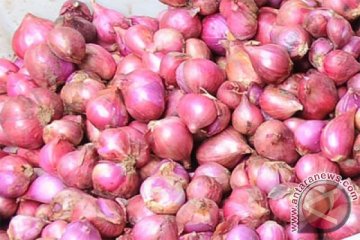 Pemerintah akan pasok 60.000 ton bawang merah