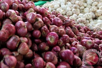 Cuaca memicu kenaikan harga bawang