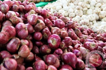 Pedagang masih ragu jual bawang putih