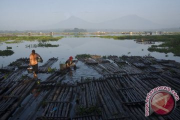 Waduk Cengklik-Boyolali ditanami pohon jenis buah