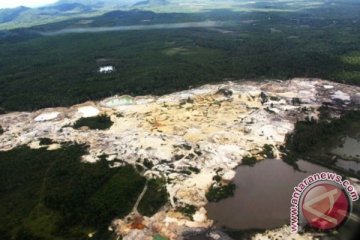 Kerusakan hutan Indonesia nomor dua di dunia