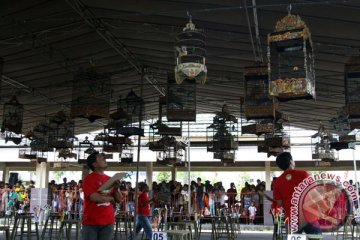 Ratusan burung ikuti kontes berkicau Se-sumatera
