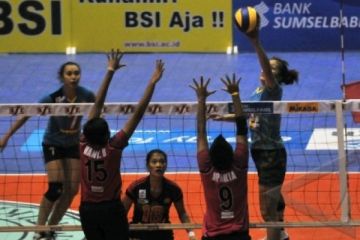 VOLI PROLIGA PUTRI