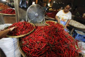 HARGA CABAI MULAI TURUN