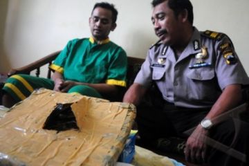 PENGEDAR GANJA