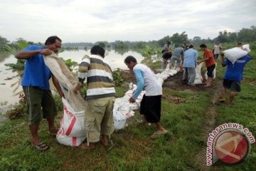 Meski hujan, hilir Bengawan Solo di Jatim dinyatakan masih aman