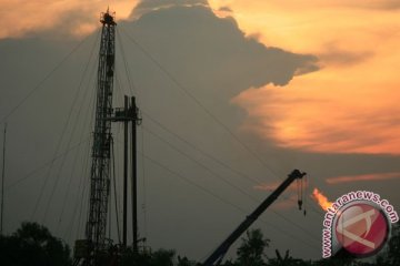 Harga minyak melonjak dipicu rencana pengurangan pengeboran Saudi