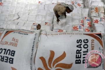 Bulog Madiun serap 24.000 ton beras petani