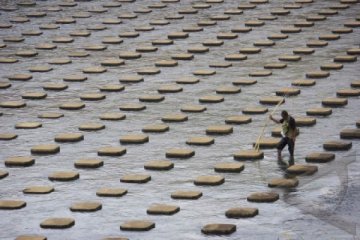 REHABILITASI DAM COLO