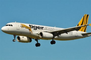 Tiger Airways bidik Yogya dan Bandung