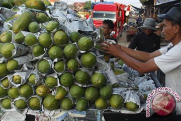 "la via campesina": petani Indonesia terbaik