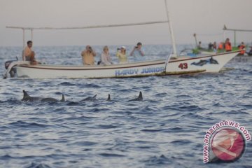 Nelayan wisata Pantai Lovina dulang rejeki Lebaran 2016