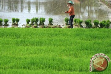 Reformasi BPN belum maksimal