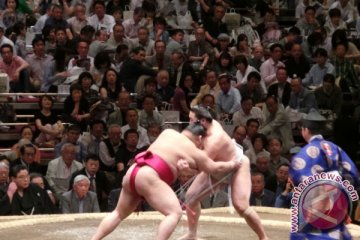 Dubes Jepang ajak Jokowi nonton sumo