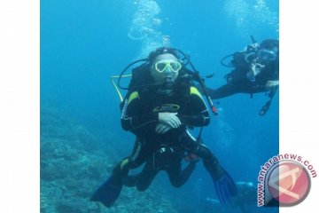 Menhut Menyelam di Wakatobi