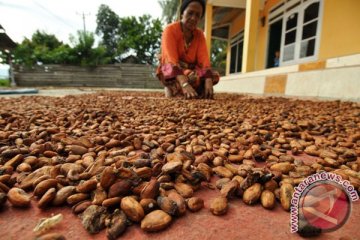 Legislator: penghapusan bea masuk kakao belum perlu