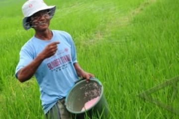 PUPUK BERSUBSIDI