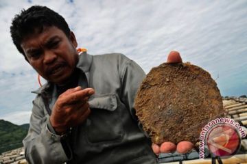 BUDIDAYA TIRAM