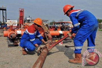 Kebutuhan energi industri 2025 didominasi gas alam