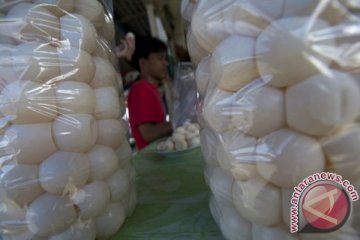 Telur penyu dijual bebas di pasar tradisional