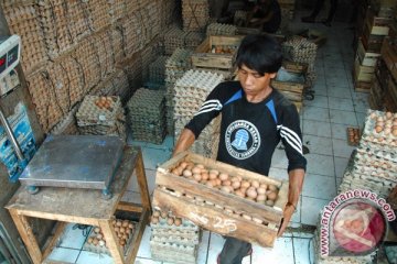 Harga telur ayam di Palembang mulai naik