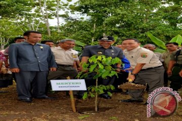  Menhut Sosialisasi Program Pro Rakyat HTR, HKm dan KBR di Halsel